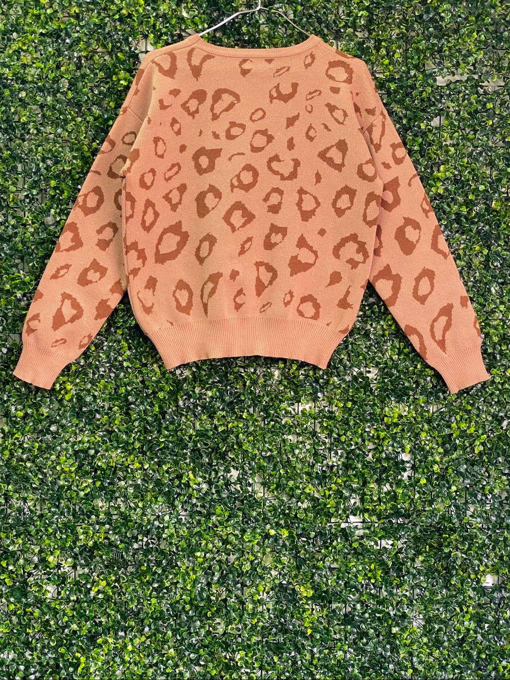 Rainbow Nation Camel Leopard Knit Jumper — back