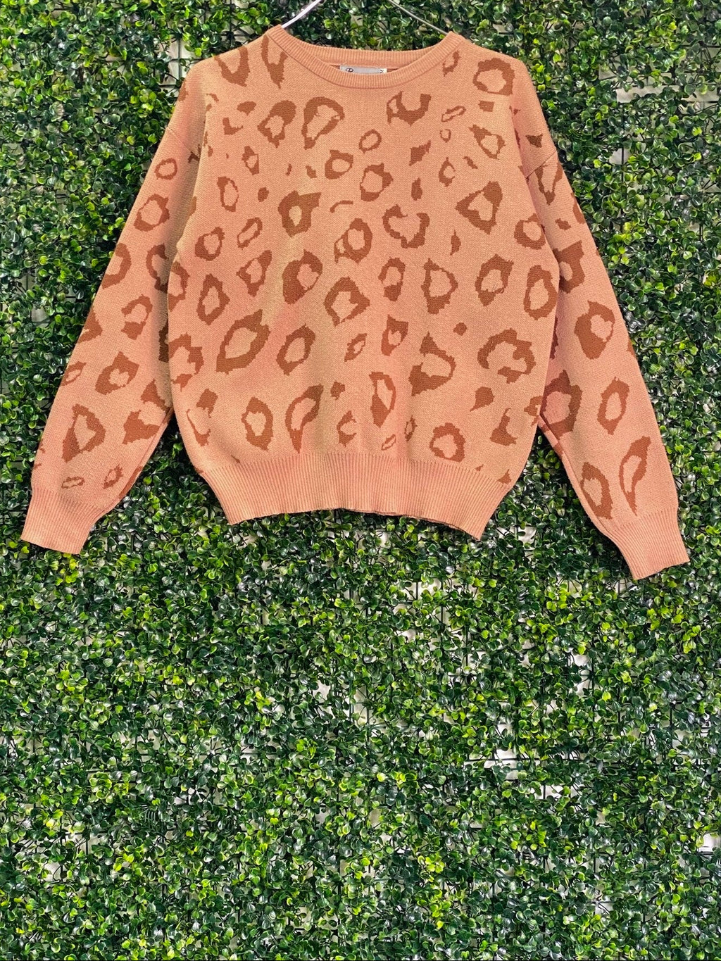 Rainbow Nation Camel Leopard Knit Jumper — front