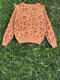 Rainbow Nation Camel Leopard Knit Jumper — front