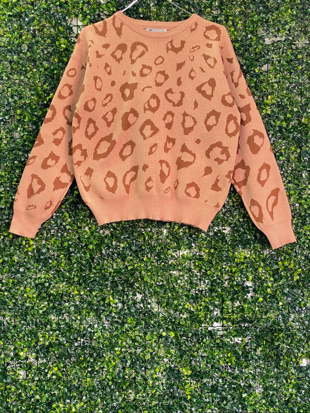Rainbow Nation Camel Leopard Knit Jumper — front