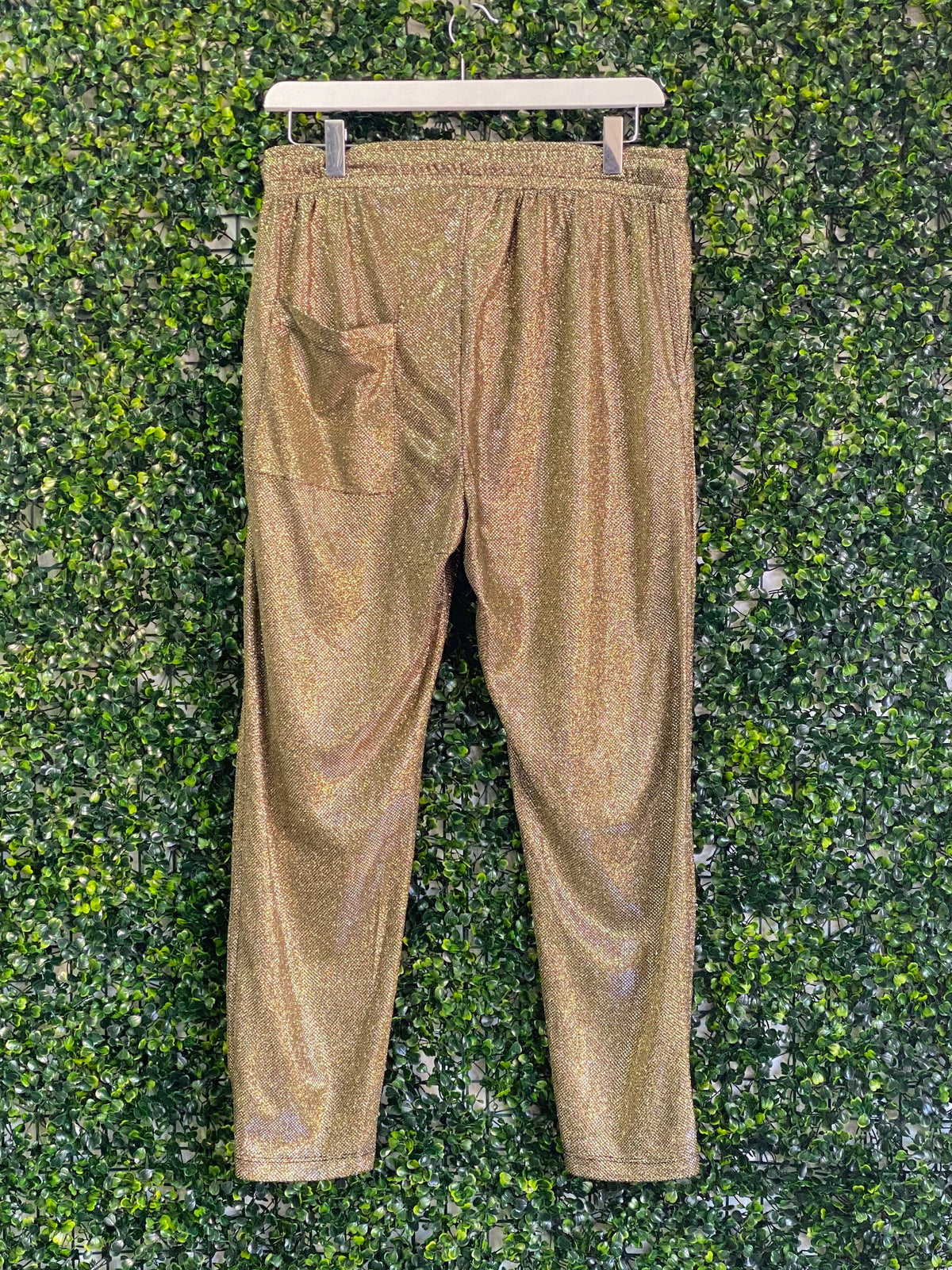 SAGE Metallic Bronze Drawstring Jogger Pants — back