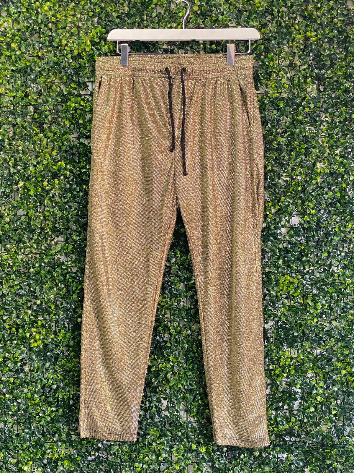 SAGE Metallic Bronze Drawstring Jogger Pants — front