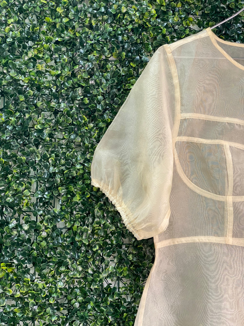 FTX Champagne Sheer Bustier-Detail Blouse — detail