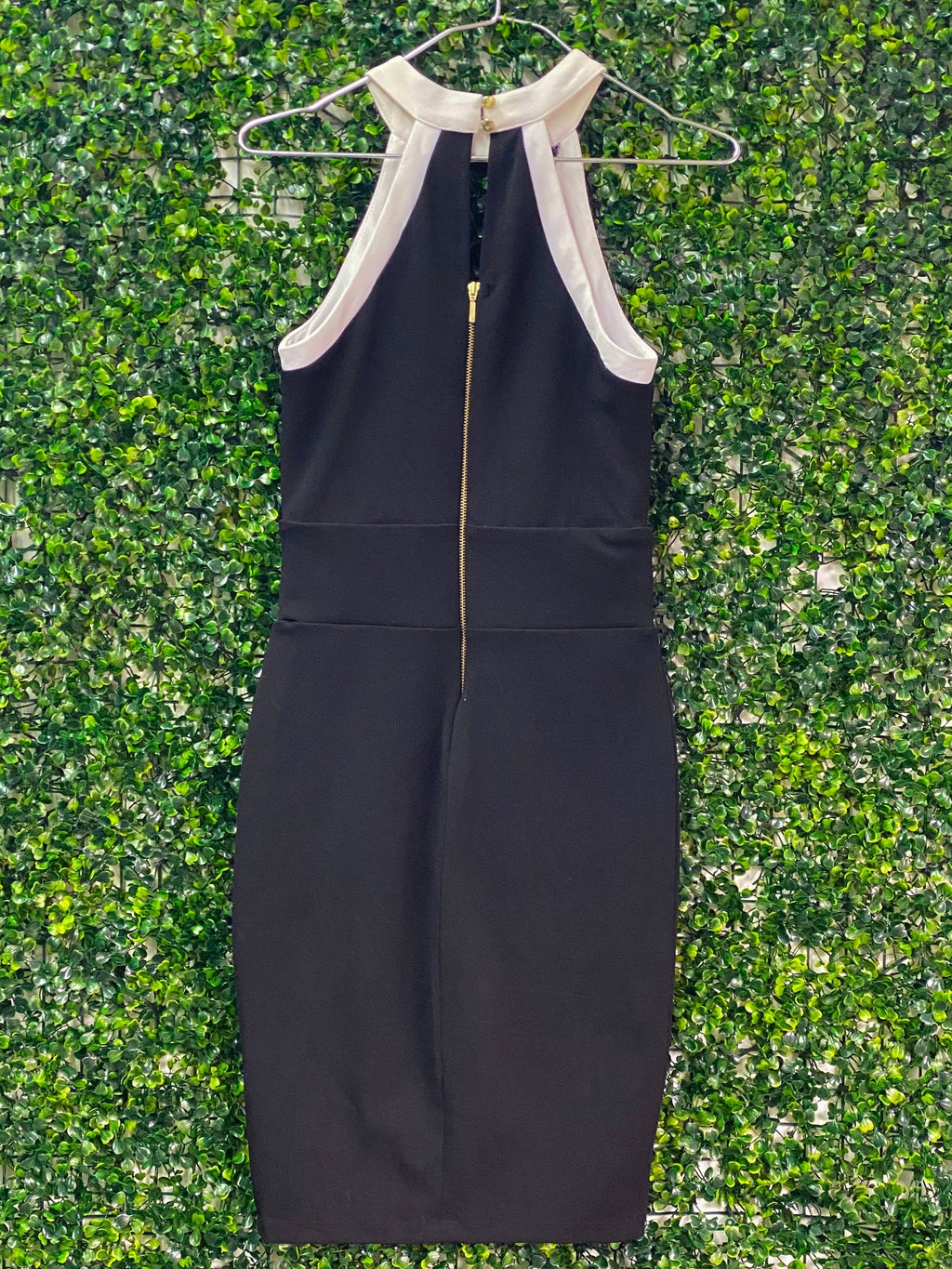Boity x Sissy Boy Black & White Panel Bodycon Dress — back