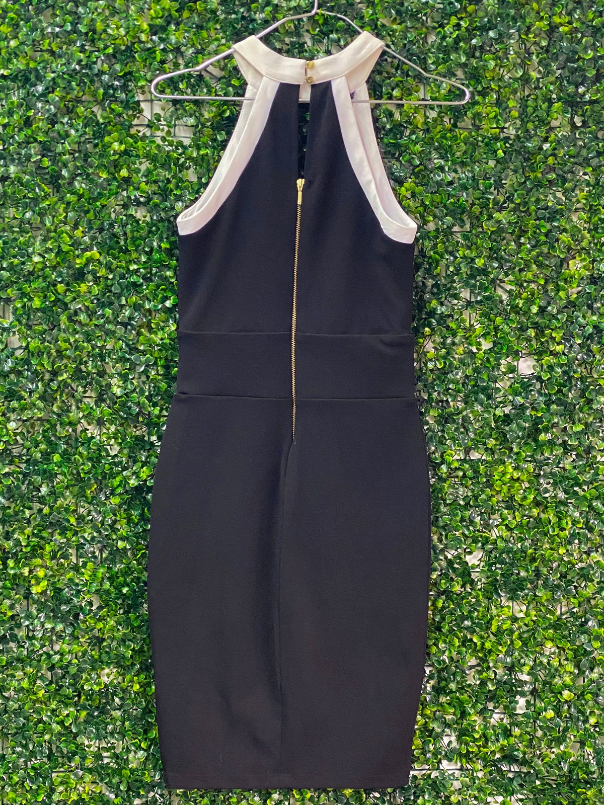 Boity x Sissy Boy Black & White Panel Bodycon Dress — back