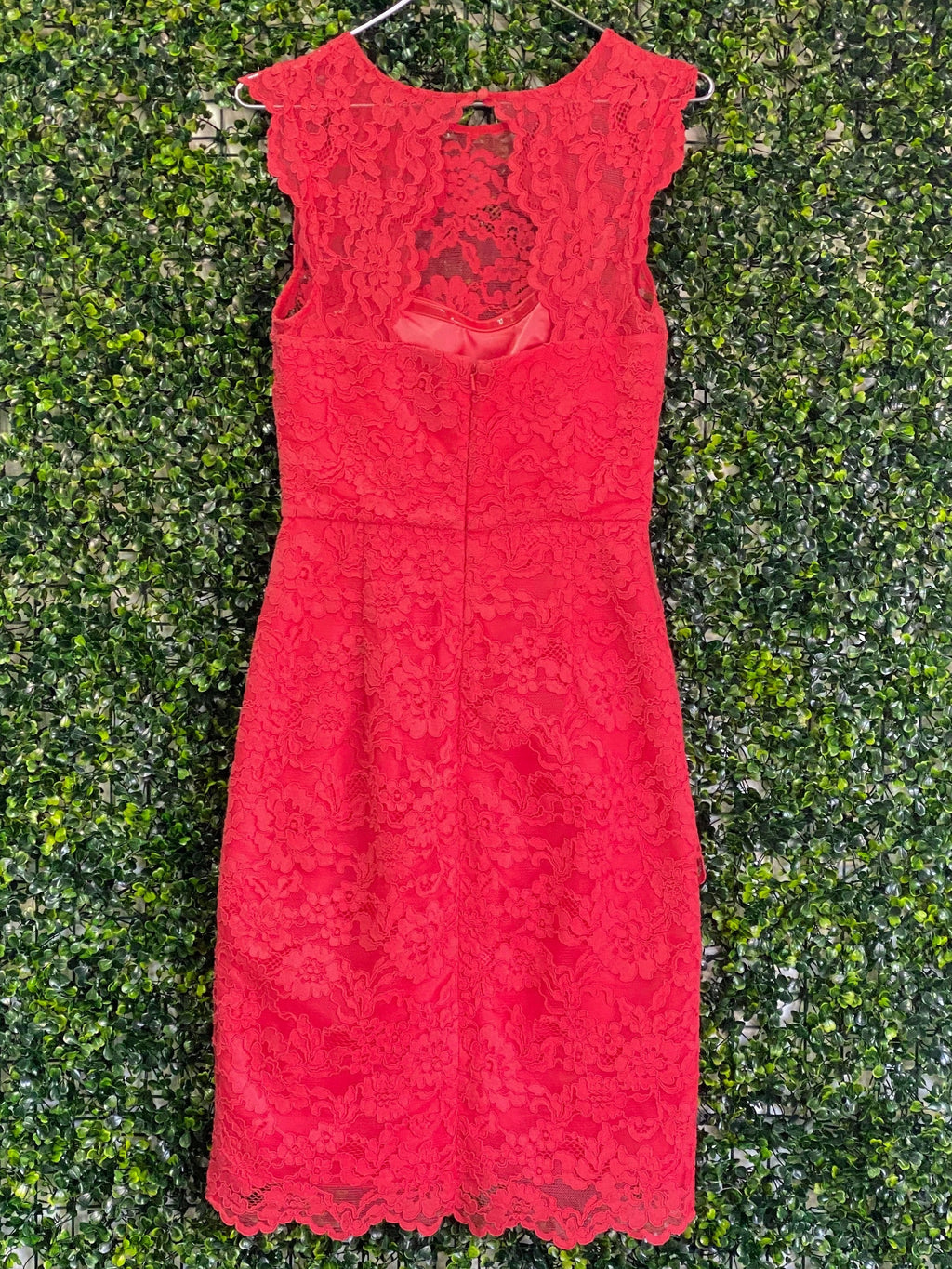 Forever New Coral Lace Midi Dress with Cutout Back — back
