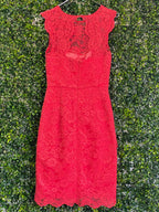 Forever New Coral Lace Midi Dress with Cutout Back — back
