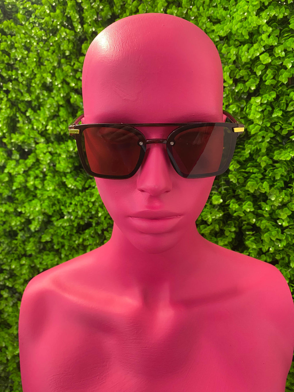 Brown Classic Square Sunglasses