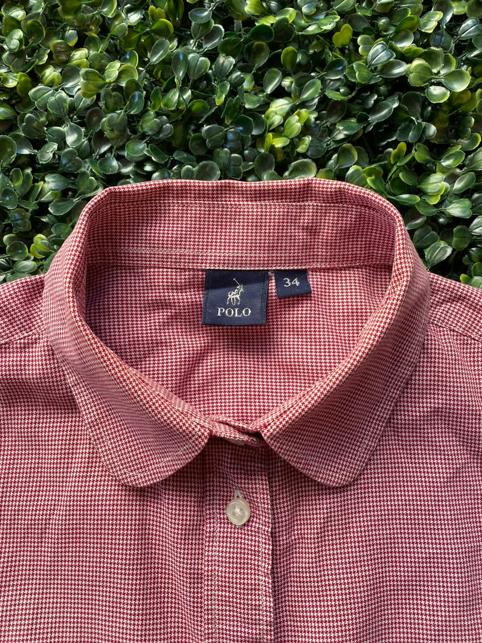 Polo Ralph Lauren Rose Micro-Check Button-Up Shirt