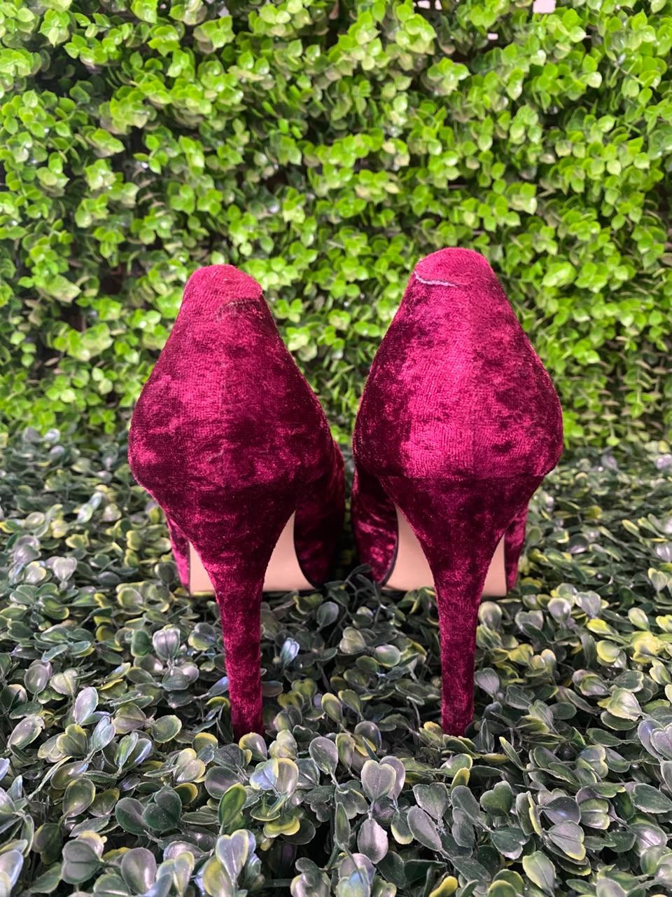 Sissy BoyBurgundy Velvet Platform Pumps