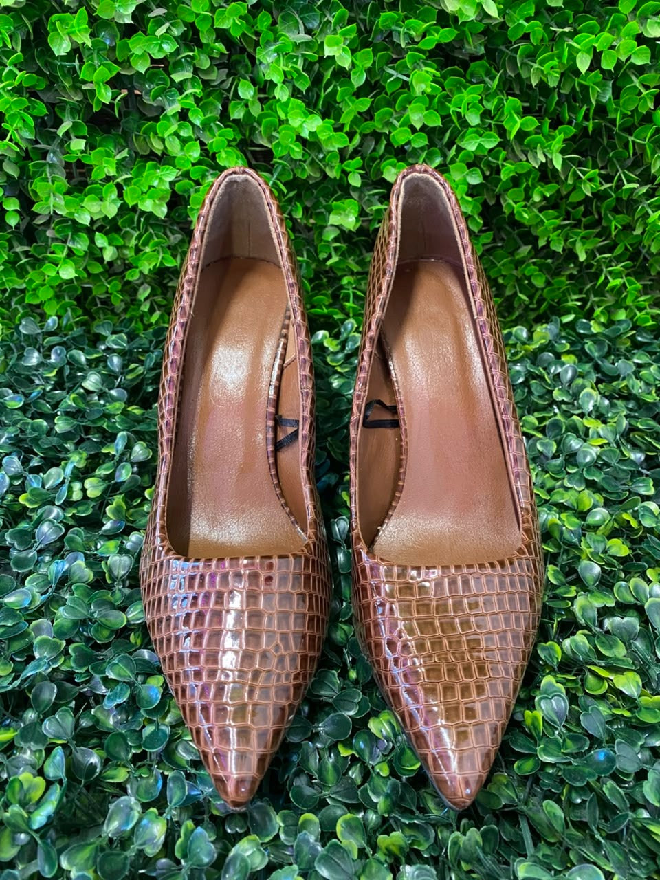 Brown Croc-Embossed Pointed Pumps