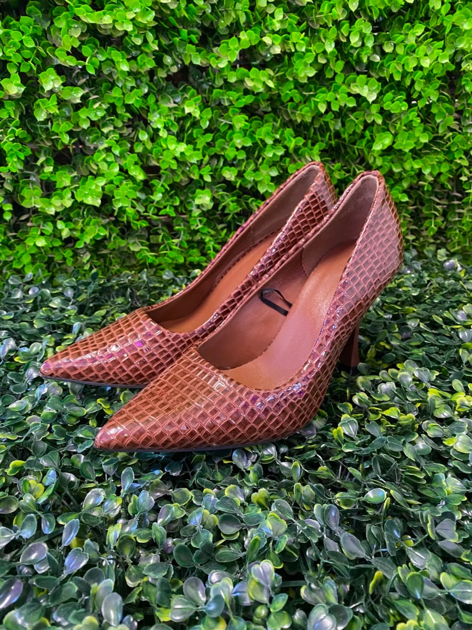 Brown Croc-Embossed Pointed Pumps
