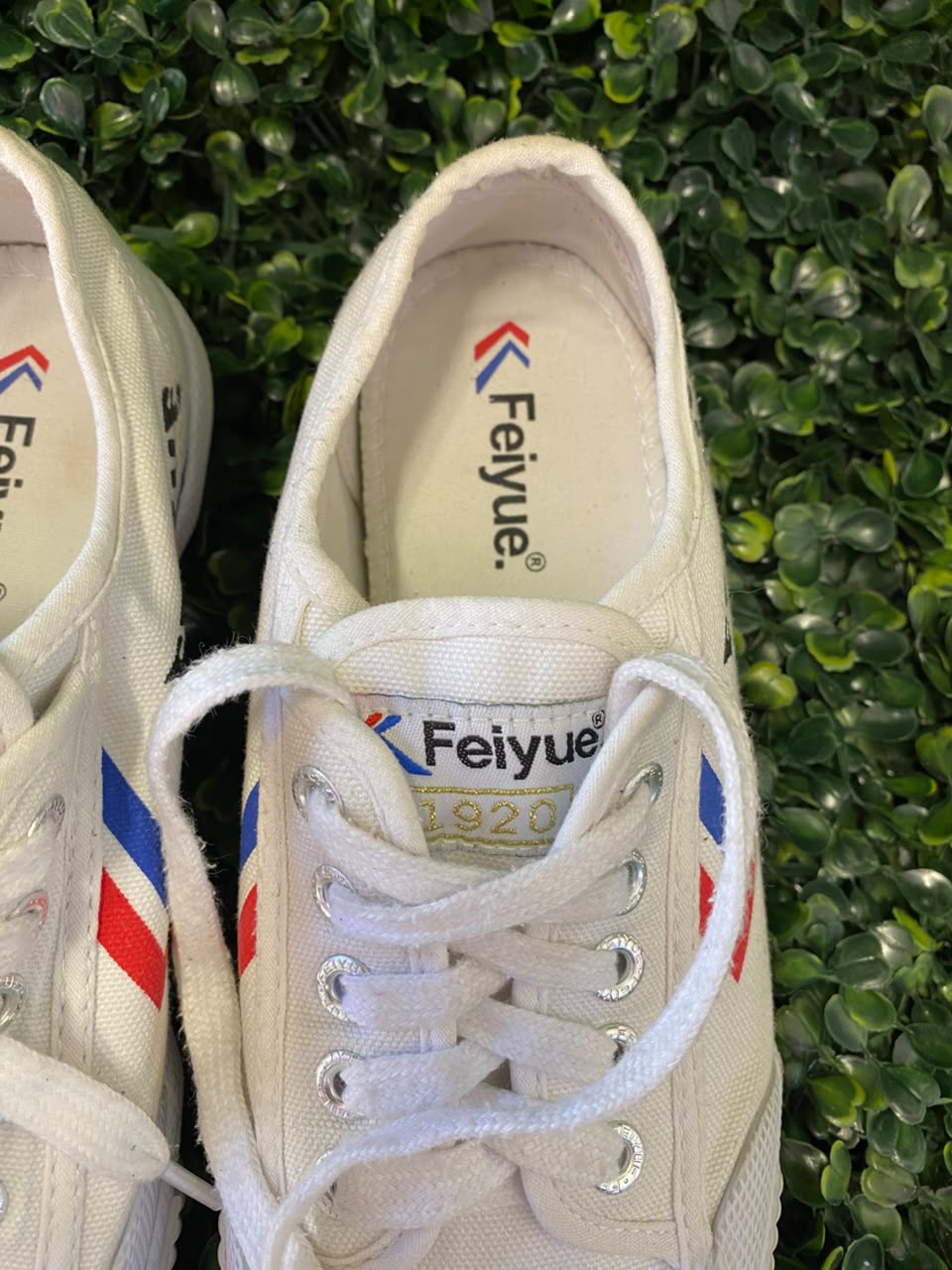 Feiyue White Low-Top Sneakers