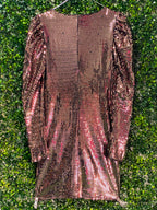 Jo Borkett Metallic Ruched Mini Dress — back