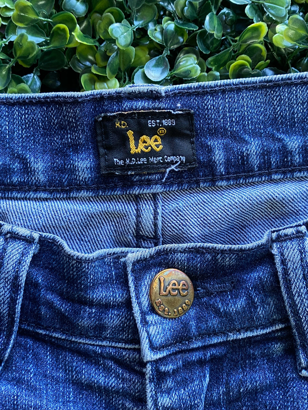 Lee Mid-Wash Straight-Leg Jeans — brand_detail