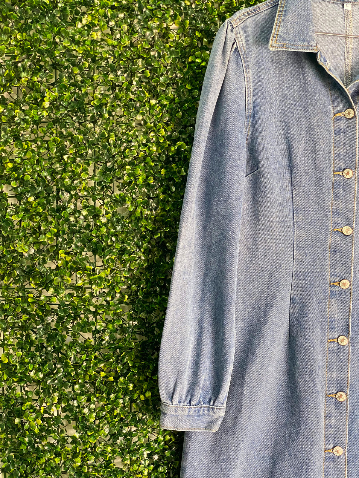 Jie Hang Finery Blue Denim Shirt Dress — detail