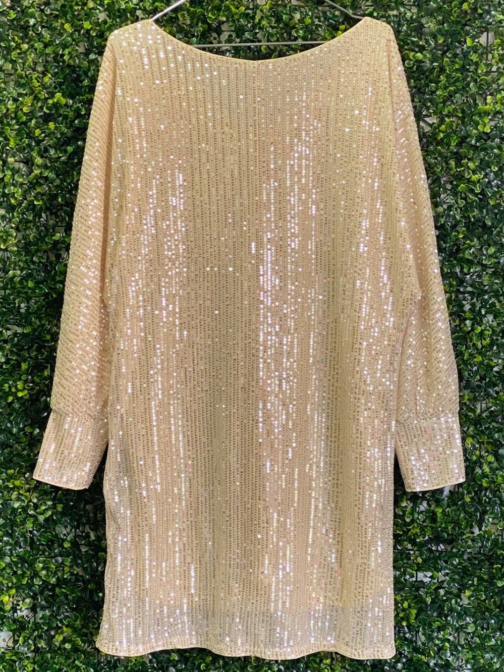 Champagne Sequin Long-Sleeve Mini Dress — back