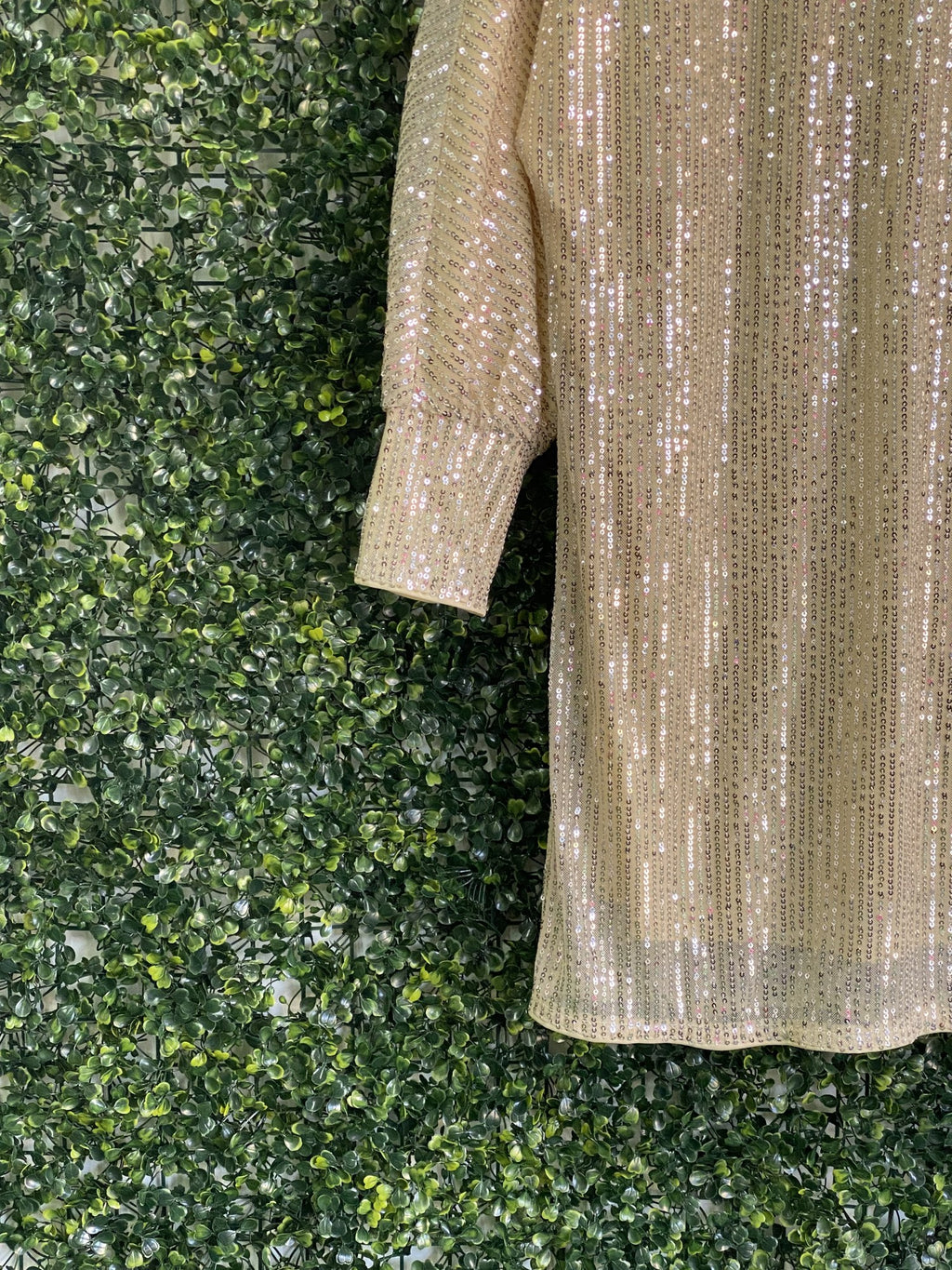 Champagne Sequin Long-Sleeve Mini Dress — detail