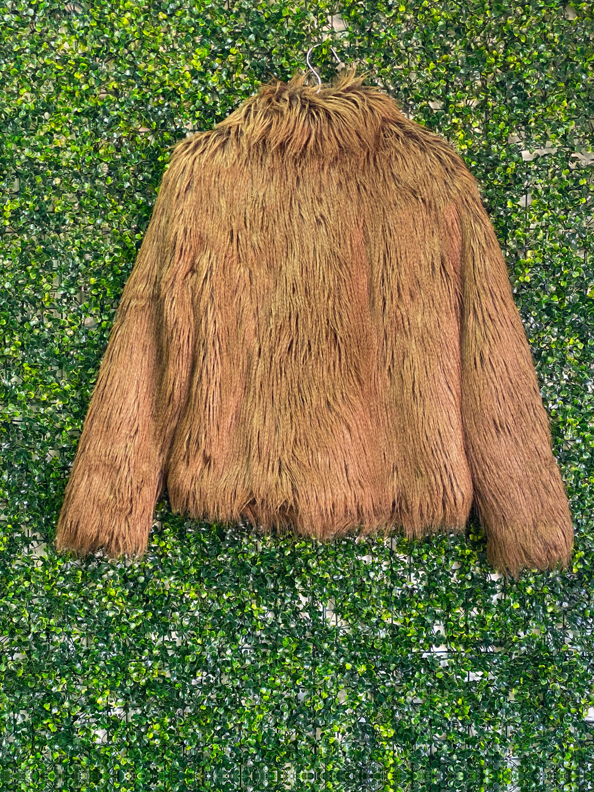 Brown Shaggy Faux Fur Jacket — back