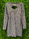 Silver Sequin Long Sleeve Mini Dress