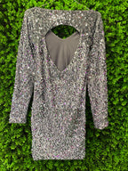 Silver Sequin Long Sleeve Mini Dress