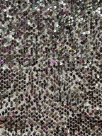 Silver Sequin Long Sleeve Mini Dress