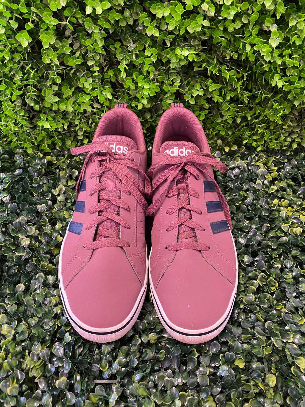 Adidas Mauve Low-Top Sneakers
