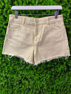 Zara High-Waisted Denim Shorts