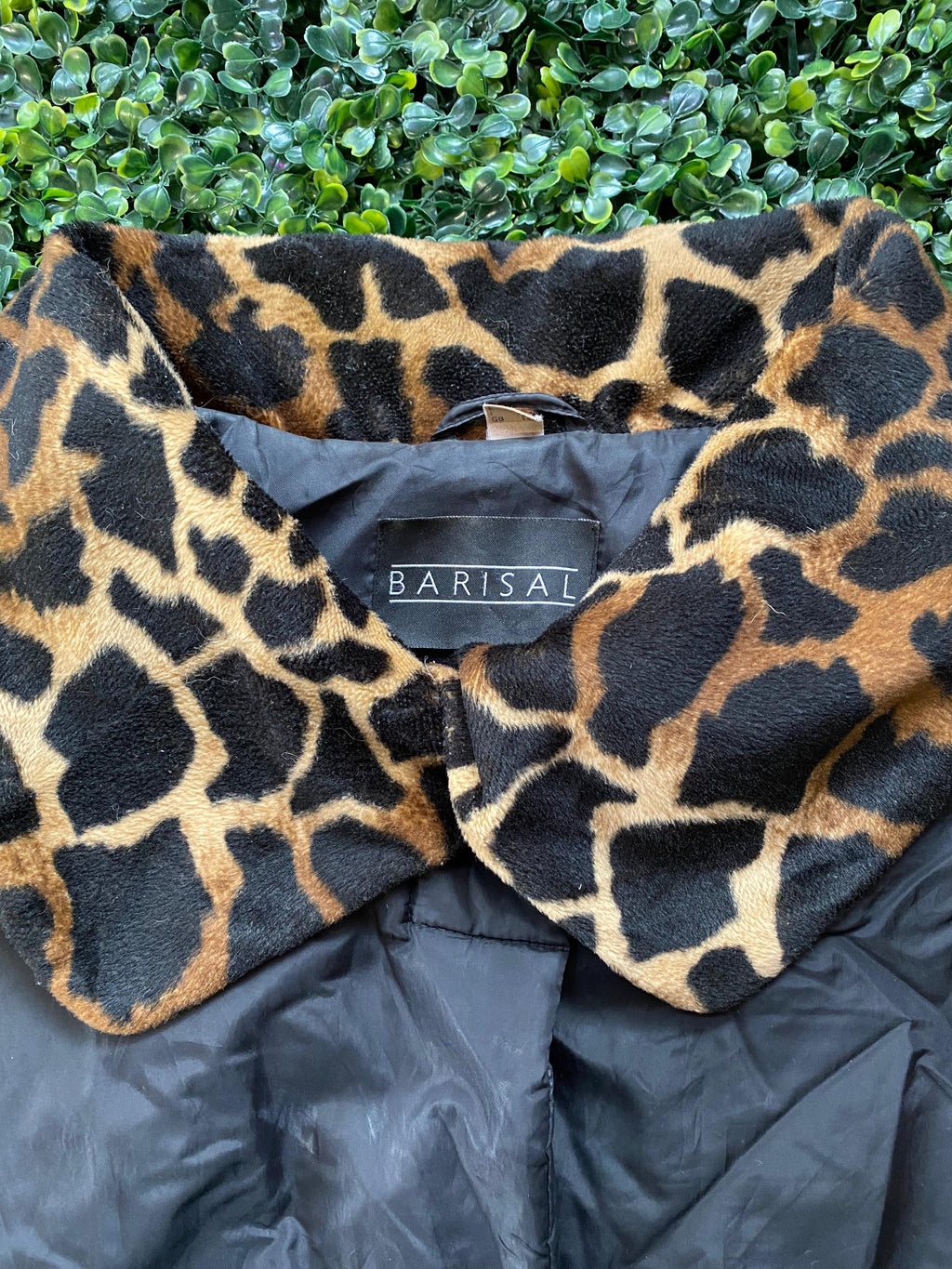 Barisal Black Jacket with Animal-Print Faux Fur Collar