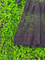 Black Lace Bell Sleeve Dress