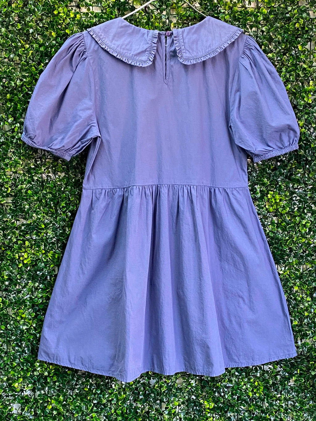 Cotton On Dusty Blue Peter Pan Collar Mini Dress — back