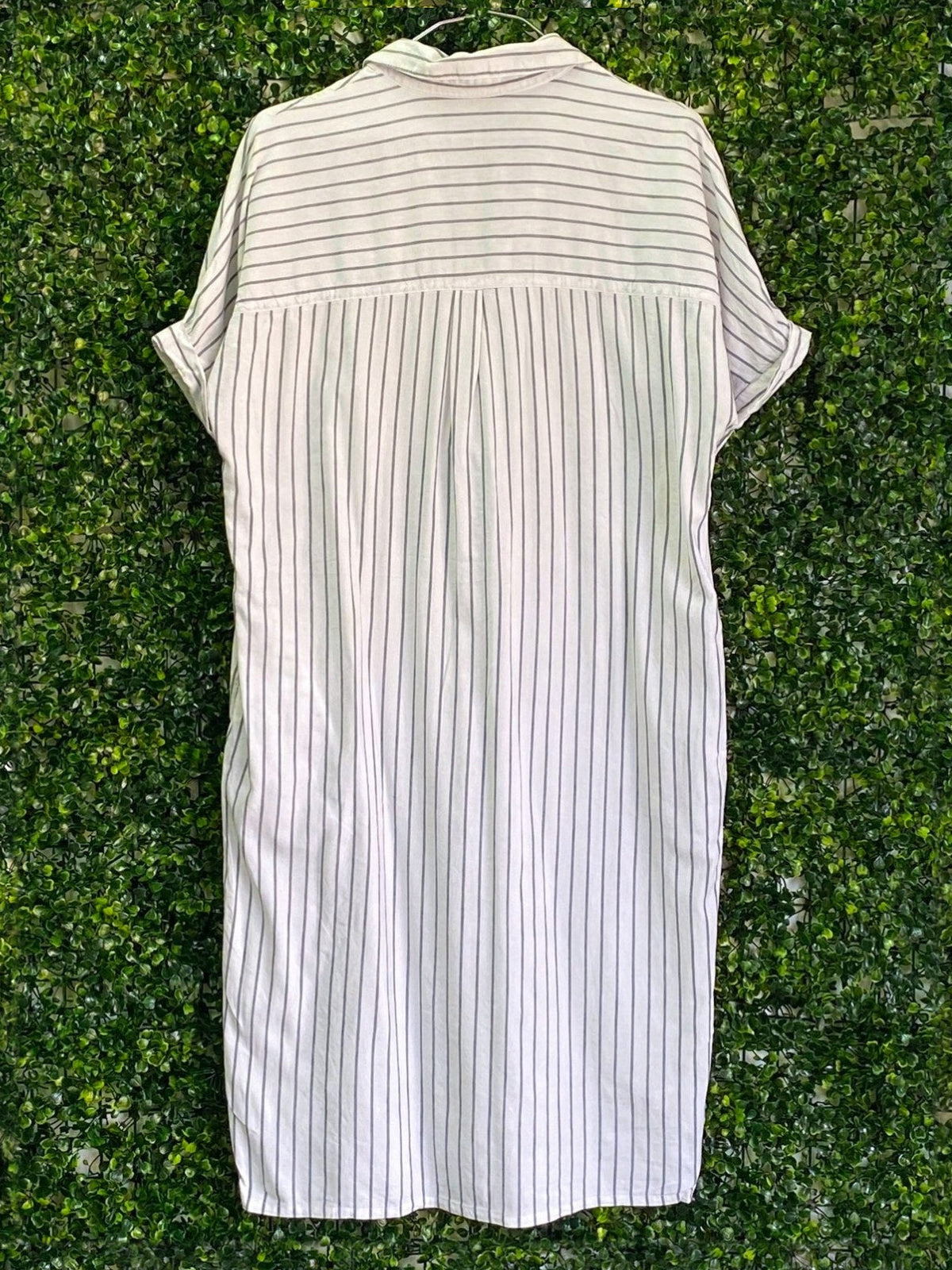Woolworths Cream Pinstripe Shirt Dress — back