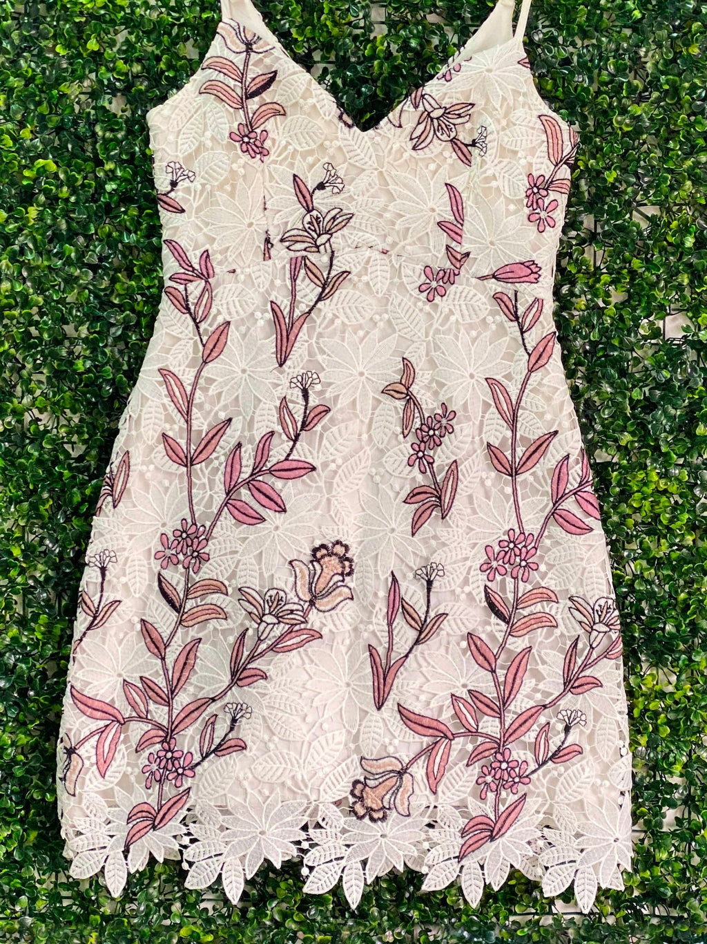 Forever New Ivory Floral Embroidered Lace Mini Dress — front
