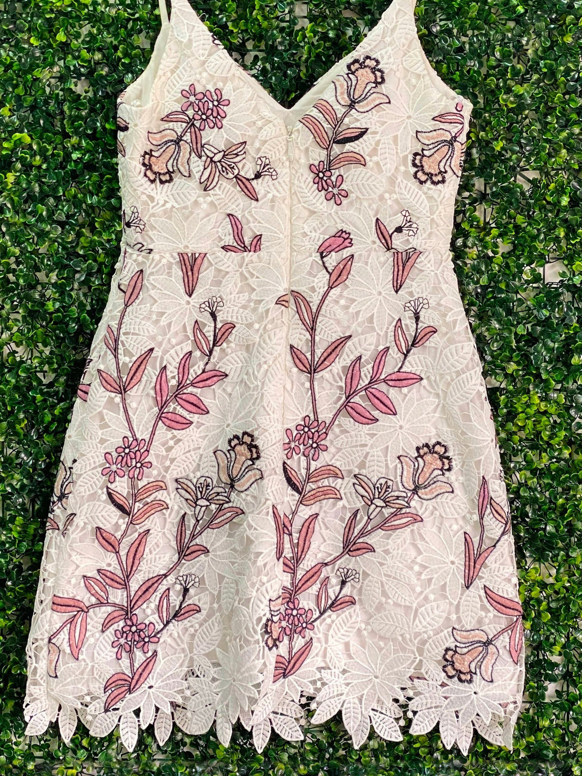 Forever New Ivory Floral Embroidered Lace Mini Dress — back