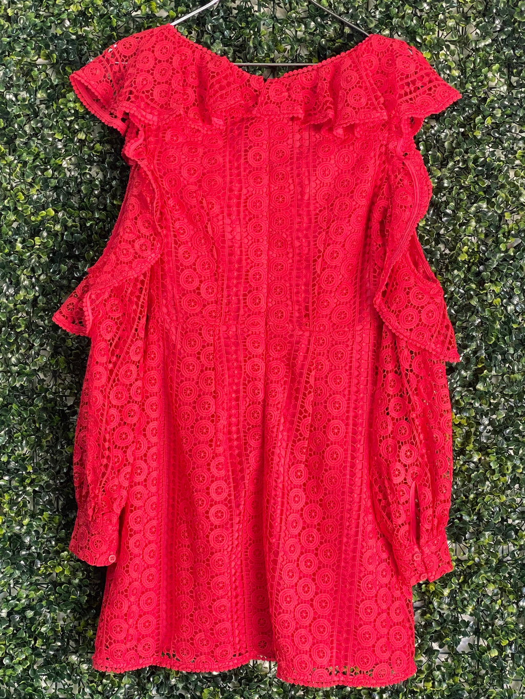 French Connection Red Lace Ruffle Mini Dress — back