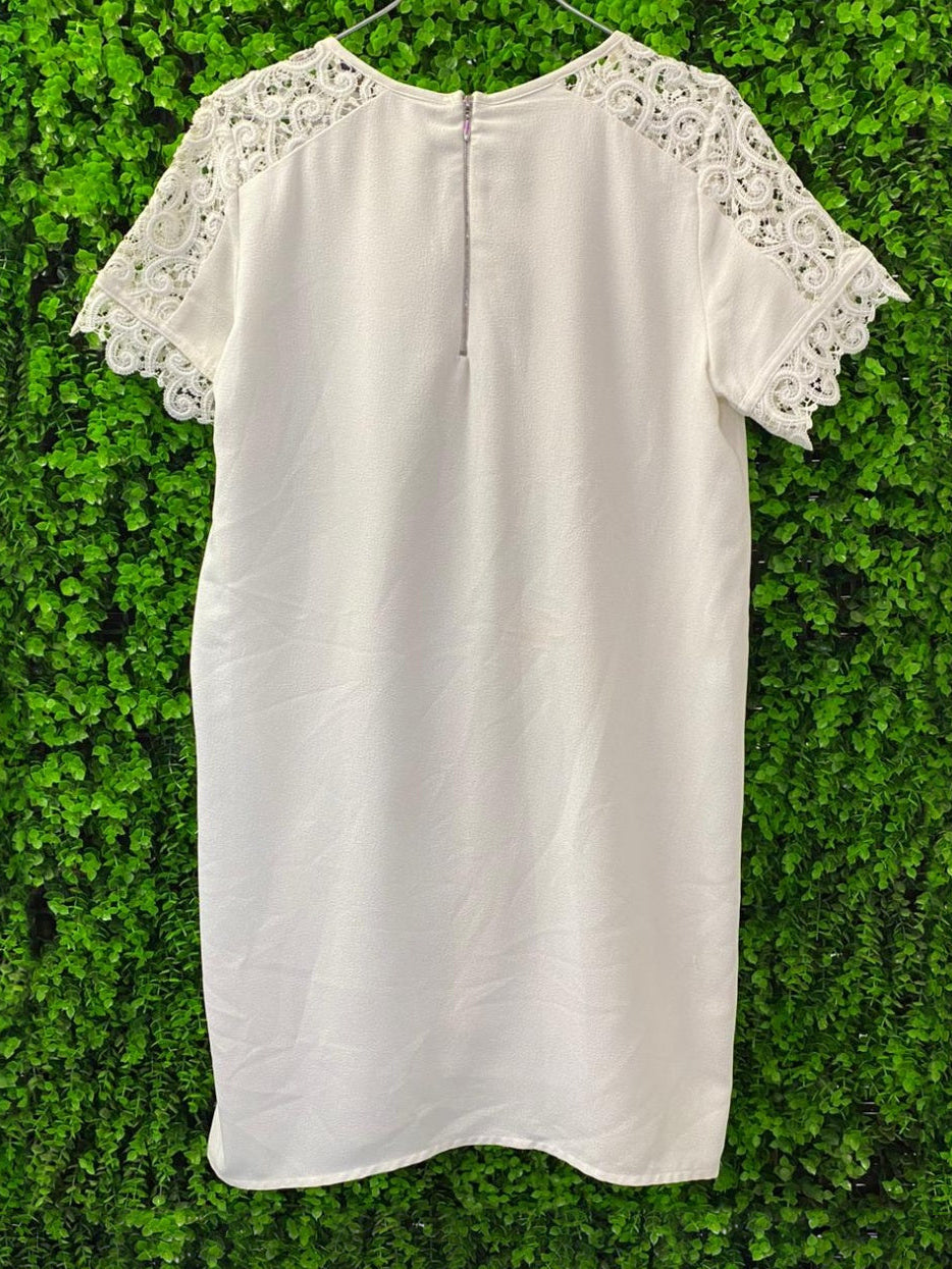 Zara Basic Cream Lace Sleeve Shift Dress
