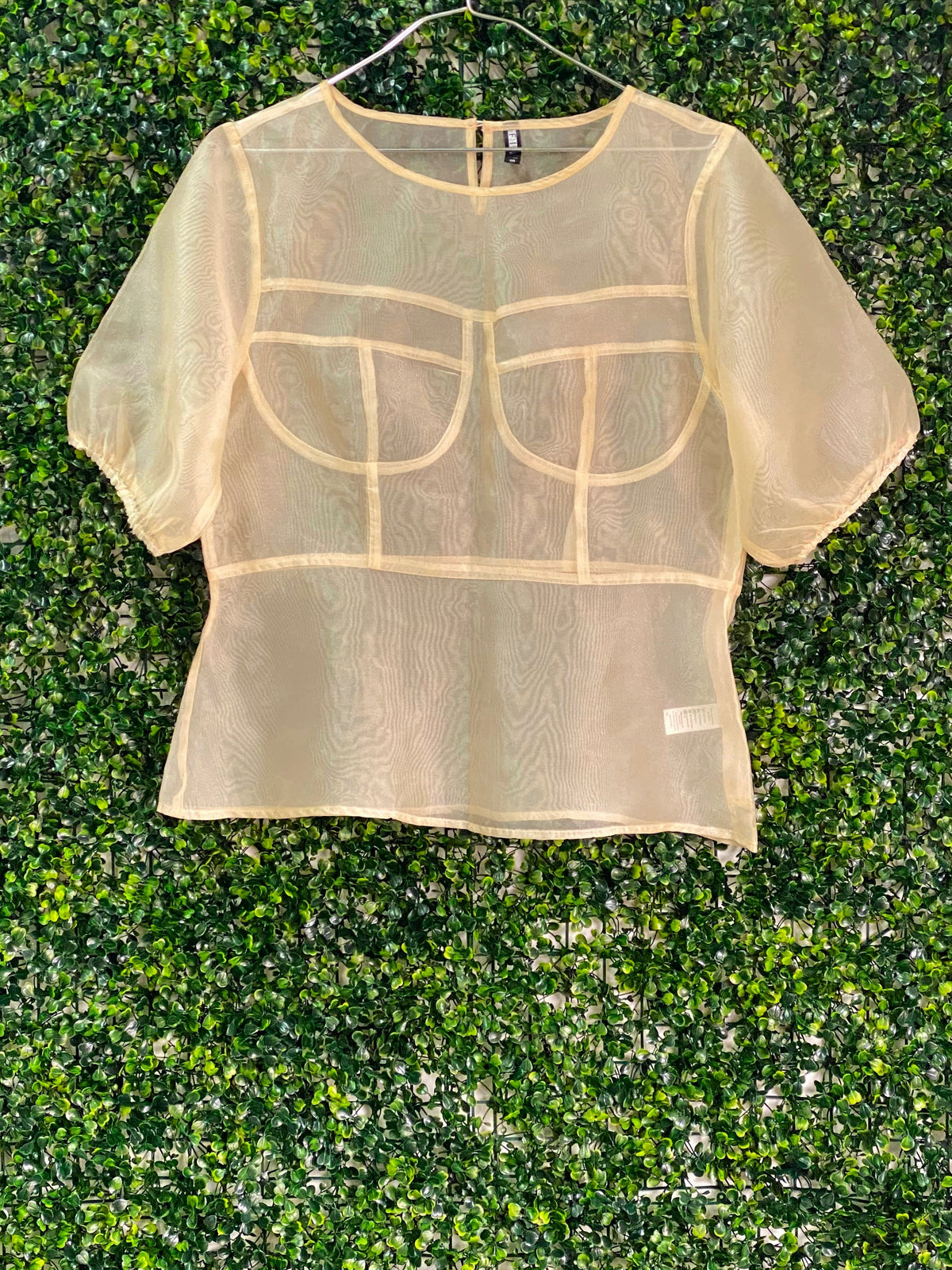 FTX Champagne Sheer Bustier-Detail Blouse — front