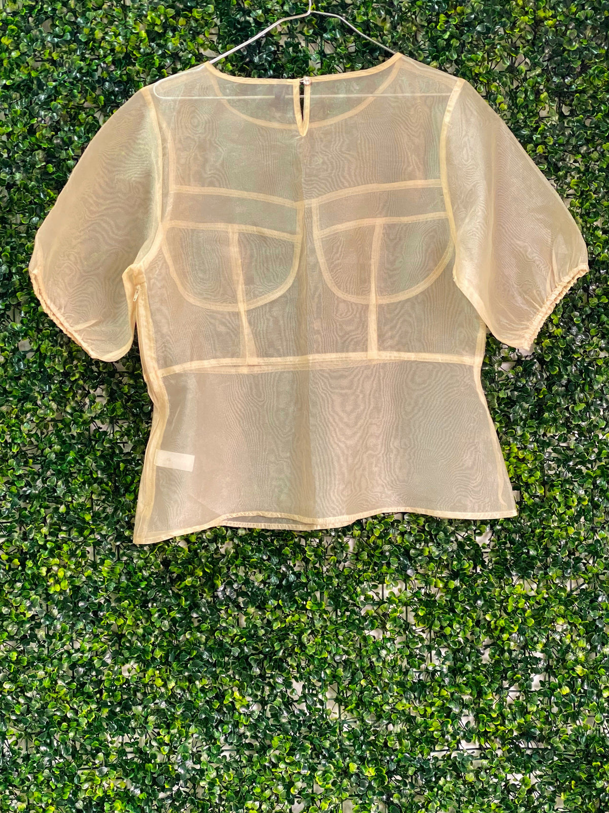 FTX Champagne Sheer Bustier-Detail Blouse — back