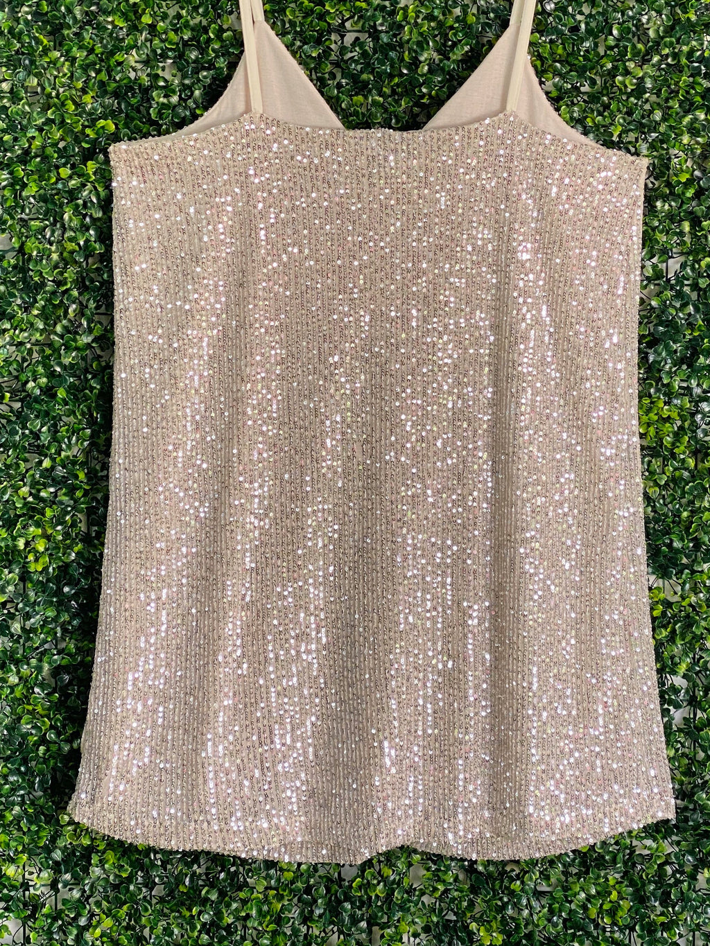 Calliope Champagne Sequin Camisole Top — back