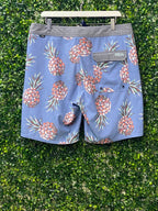 Rip Curl Mirage Blue Pineapple Boardshorts — back